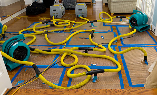 Professional Burst Pipe Water Damage technician working in Eureka, UT